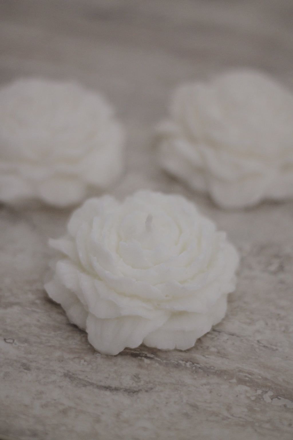 Peony mini