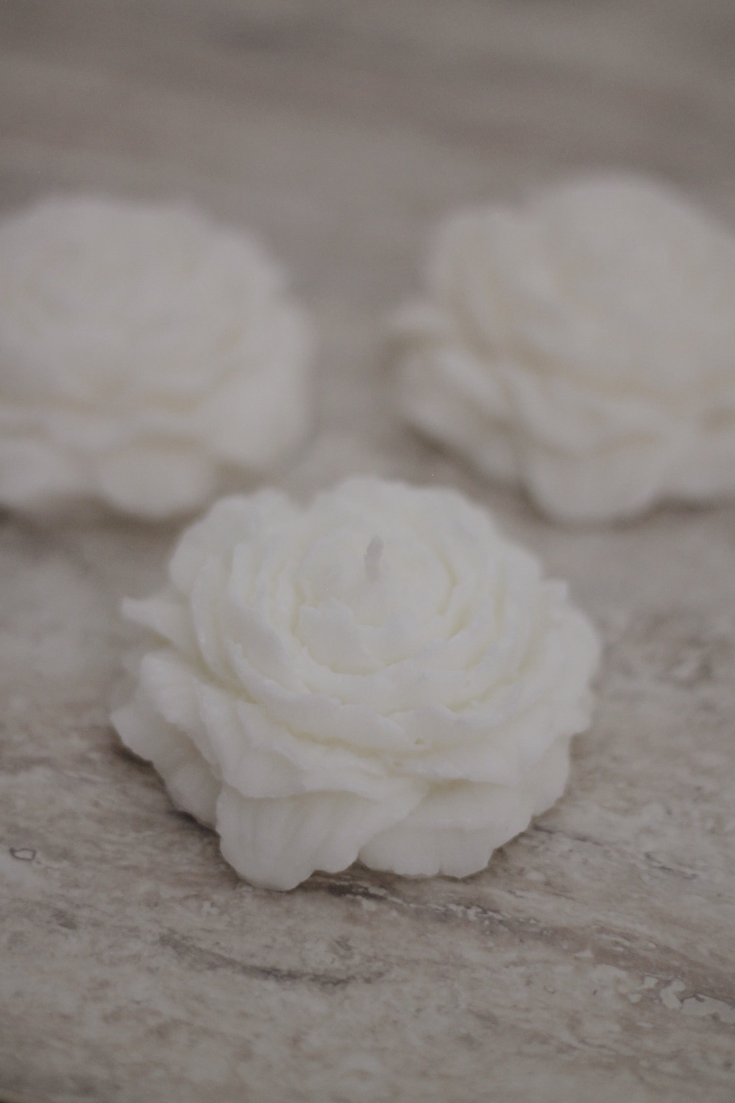 Peony mini