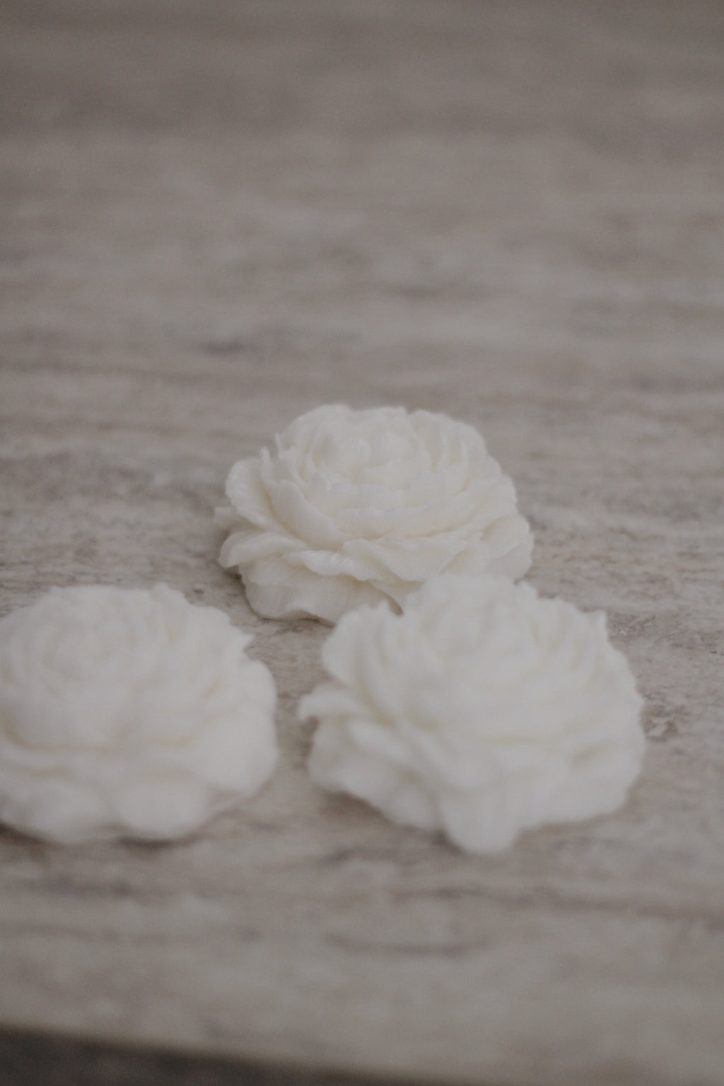Peony mini