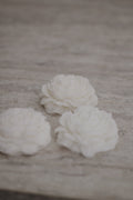 Peony mini