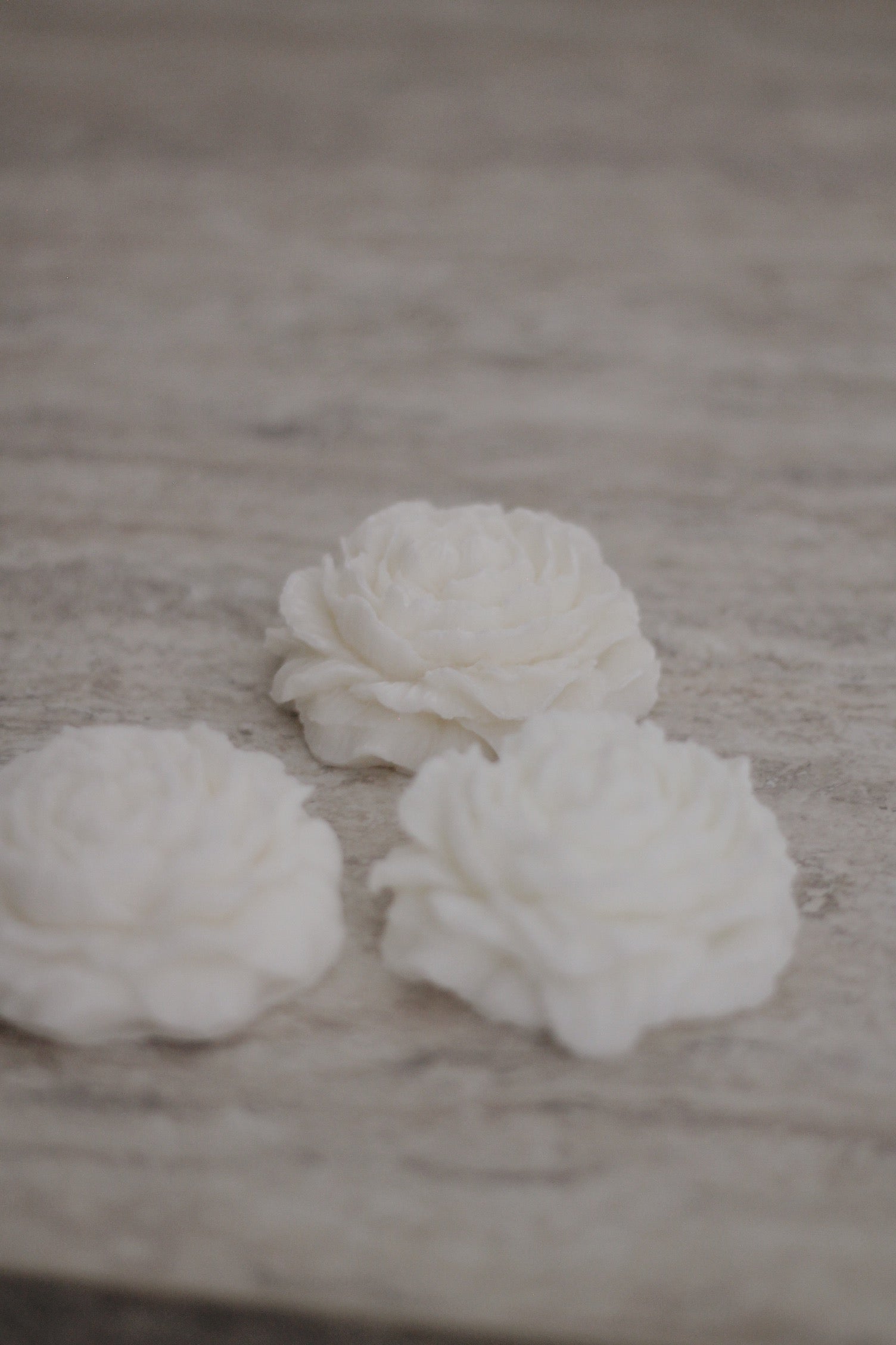 Peony mini